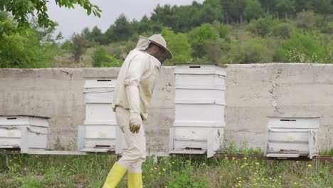 Beekeeping.