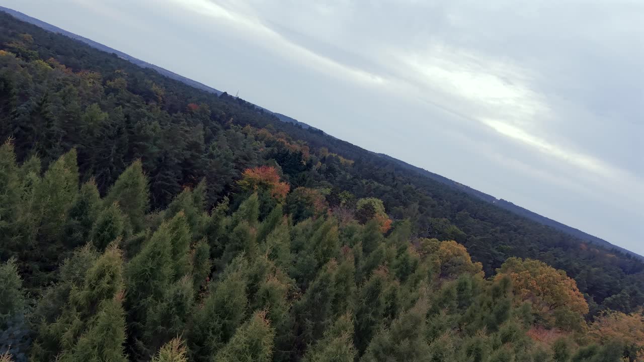 Plano aéreo en movimiento sobre un denso bosque otoñal bajo un cielo nublado.