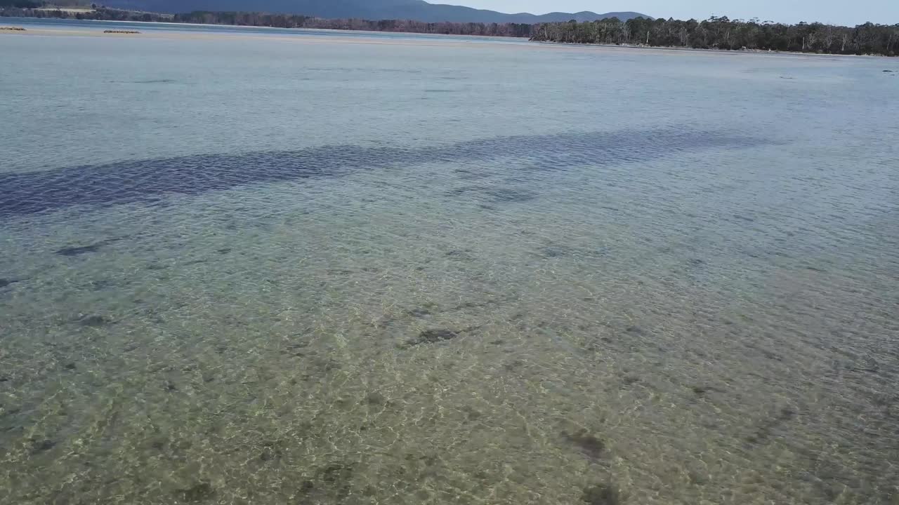 뒤로 이동하는 바다를 따라 드론