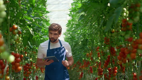 Agronom-Entwickelt-Innovative-Tablette-Zur-Überprüfung-Des-Wachstumsniveaus-Von-Tomaten-In-Einem-Technologischen-Bauernhof