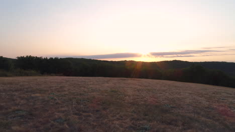 Aerial-morning-flight-over-a-field-with-forest-in-background.-France.