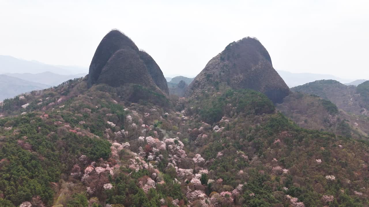 Scenic Mountain Landscape with Cherry Blossoms