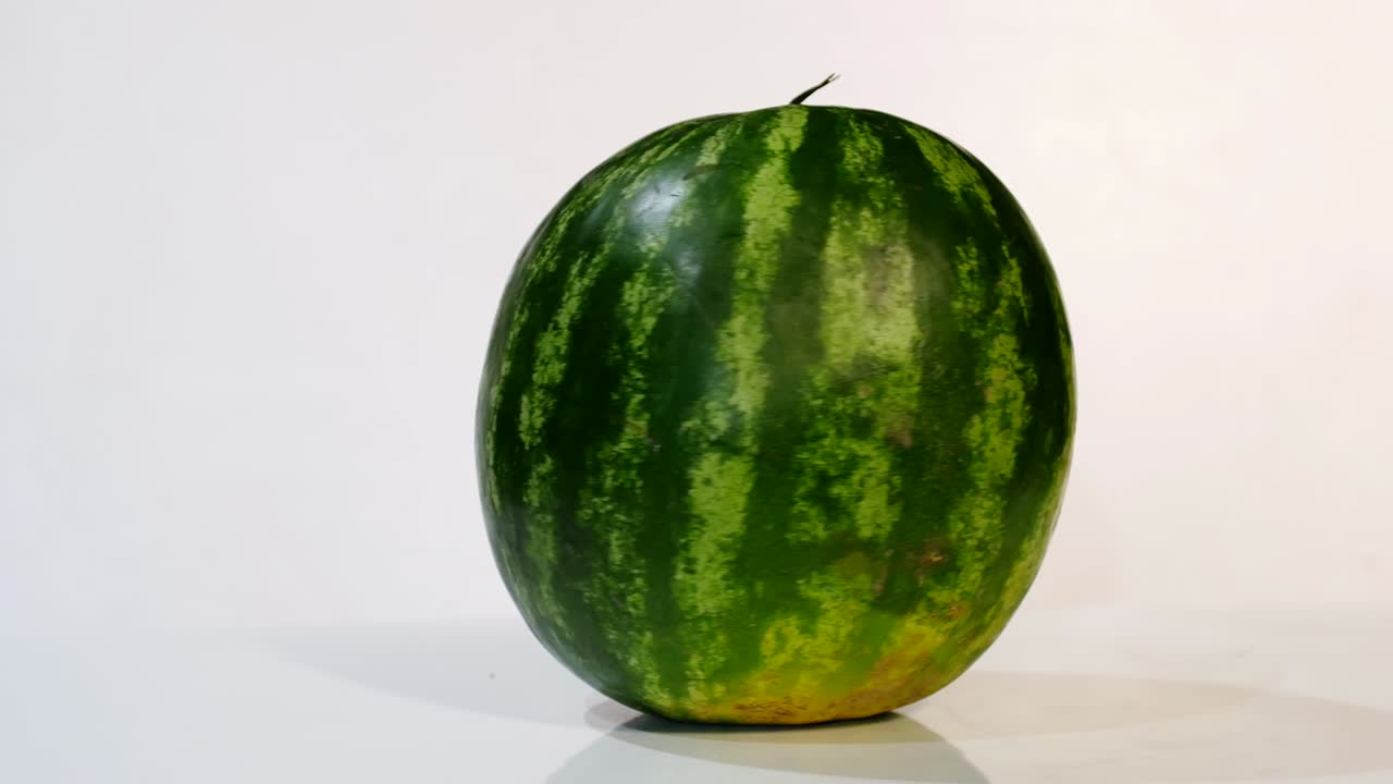 la sandía gira en un soporte blanco sobre un fondo blanco. rodaje de estudio de una sandía madura del pueblo.