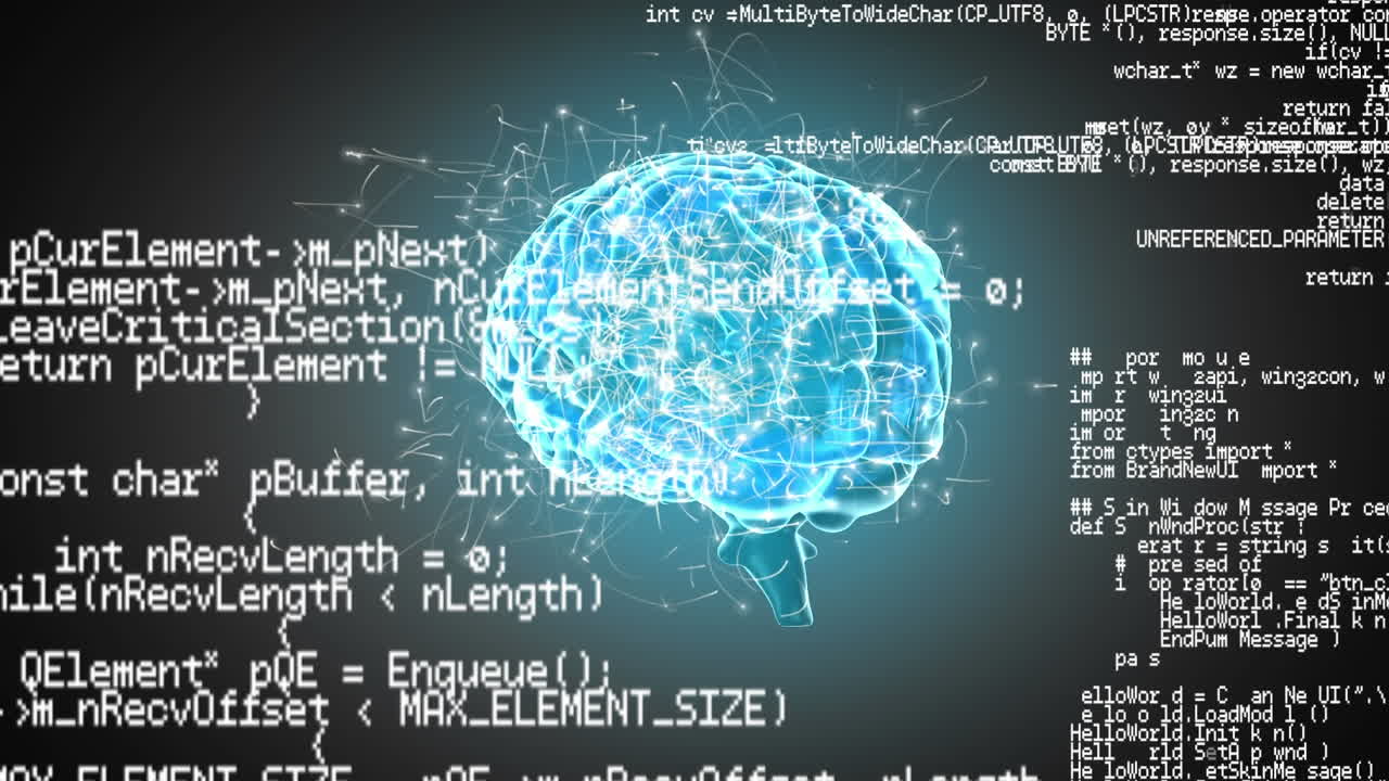 디지털 두뇌와 프로그램 코드