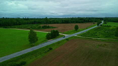 green crop fields and others with dead grass crossed by a road