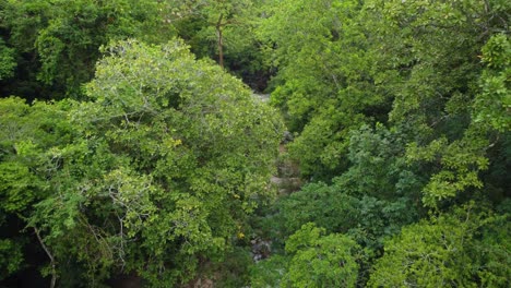 dry-rocky-stream-in-Columbian-rainforest-affected-by-drought