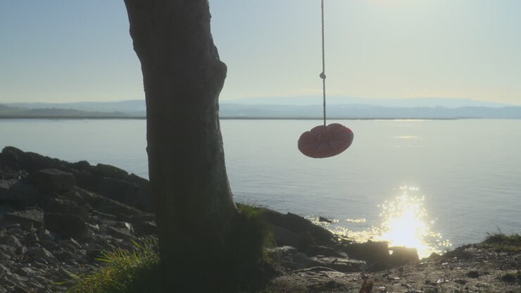 Rope swing moving gently on shoreline with autumn morning sun glistening off the sea