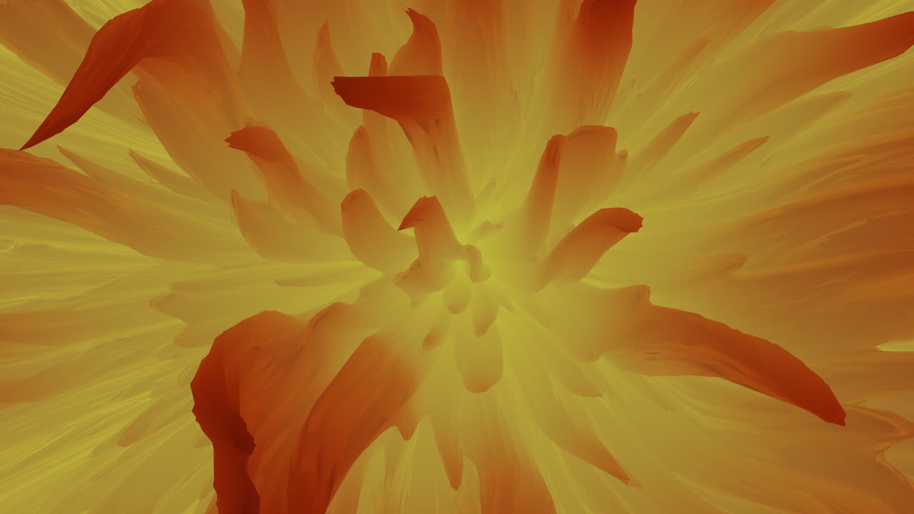 Warm Yellow-orange flower petals circle gently on harmonious floral background