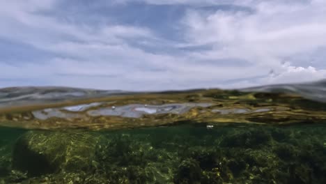 split over-under underwater view of seagull flying away from sea surface to rock of lavezzi island in corsica, france