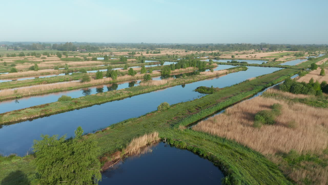 Fattoria olandese in un polder nella verde campagna vicino a Weerribben, Paesi Bassi - ripresa aerea con drone.
