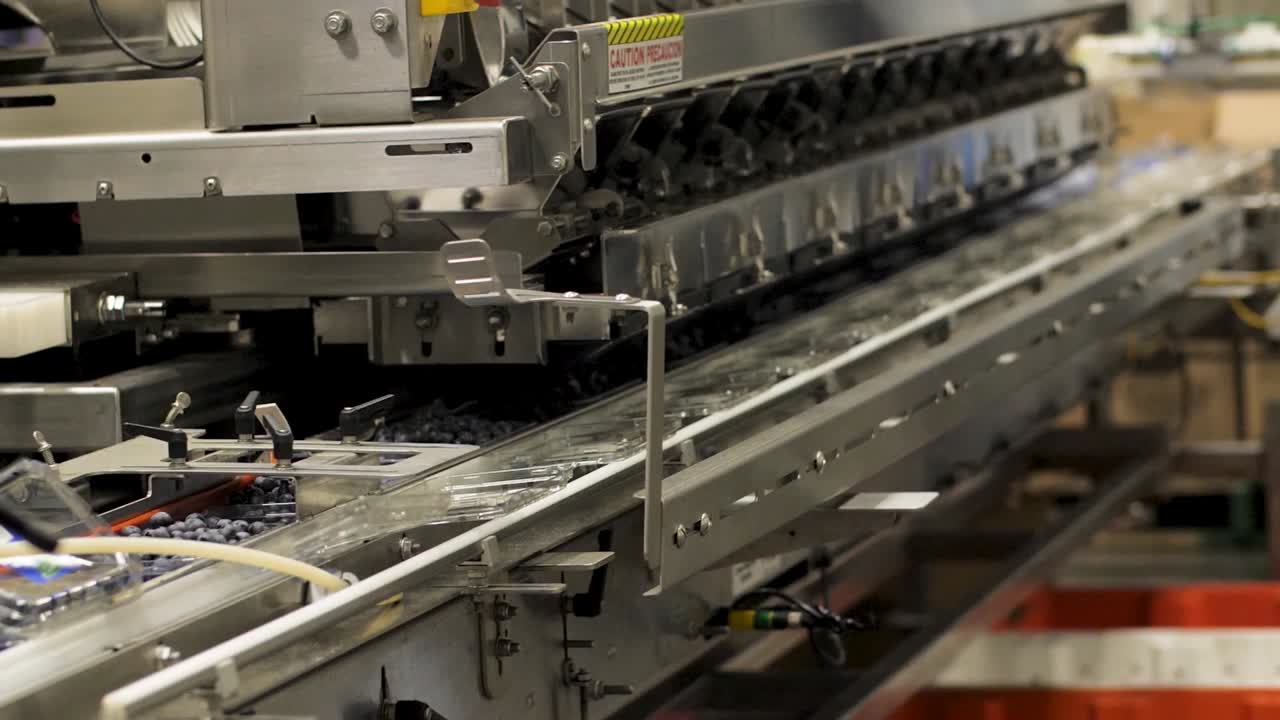 A Blueberry Processing and packaging Plant