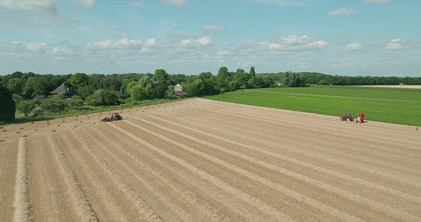 Drone flies toward a red tractor towing a straw baler across a harvested wheat field, producing straw bales beneath a clear blue summer sky in the Dutch countryside.