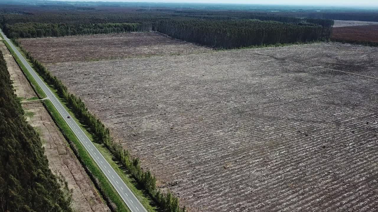 Birdseye Aerial View of Road Netween Thick Forest and Massive Deforested Ground in Countryside of Chile