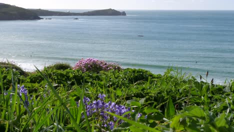 enjoy the stunning coastal views of cornwall in spring, showcasing colorful flowers alongside gentle waves and a serene atmosphere perfect for relaxation