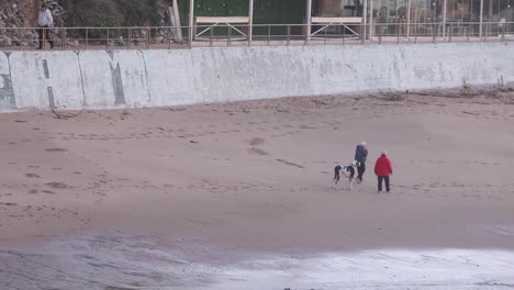 an unrecognisable older man and woman couple enjoy walking on sandy beach with their dog