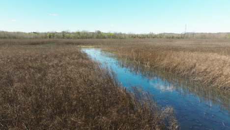 Fliegen-über-Das-Getrocknete-Gras,-Das-Im-Grassee-Im-Bell-Slough-State-Wildlife-Management-Area-In-Arkansas-Wächst