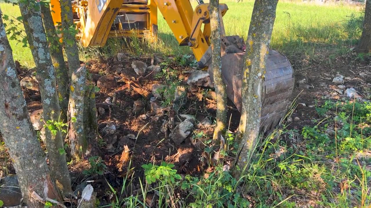 An excavator bucket digs through rocky soil between tree trunks, lifting stones and loose earth while the yellow backhoe works beside a grassy field.