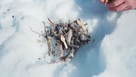 dried tree branches on a frozen ground