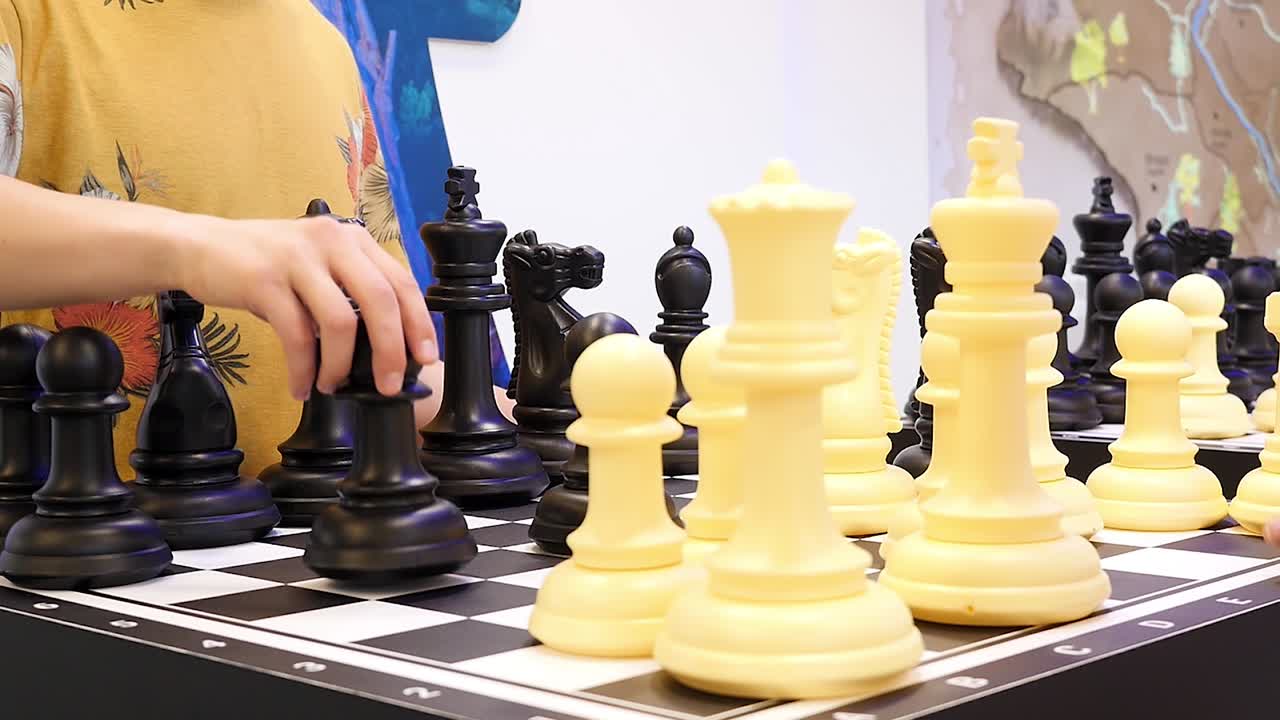 체스를 하는 사람