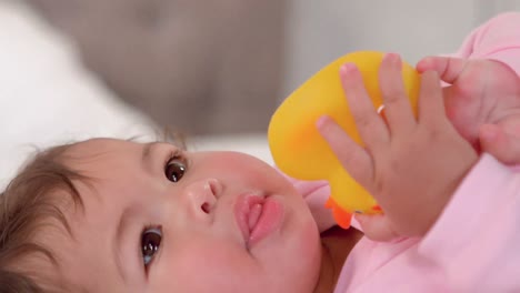 cute baby girl playing with rubber ducky