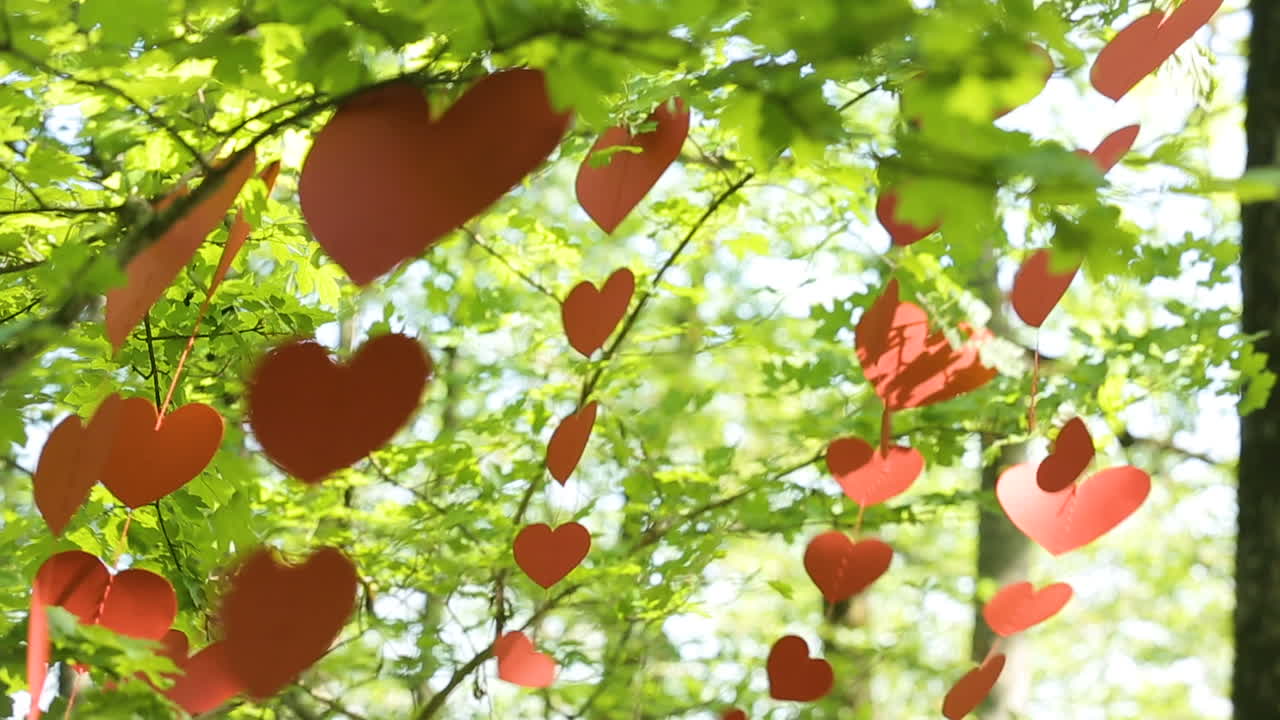 Leaves in form of heart. Leaves of tree in the form of heart