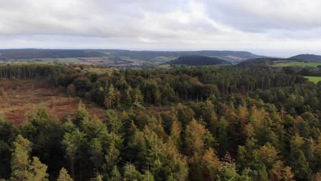 Vuelo-Aéreo-Sobre-El-Bosque-De-Otoño-Con-Limpieza-En-Medio-De-East-Hill-En-Devon