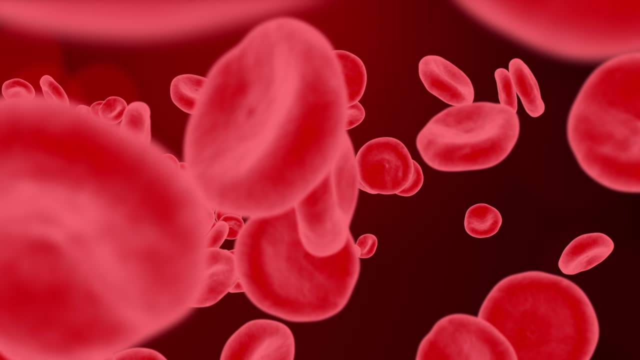 Abstract Flying through realistic blood vessel with blood cells Inside a human blood vessel Loop Animation