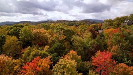 slow aerial push over fall and autumn leaves near boone nc, north carolina