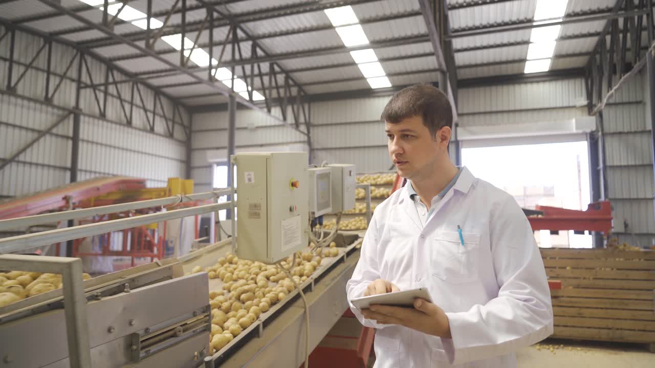 ingeniero agrícola que trabaja con patatas en un almacén de patatas bajo producción agrícola.