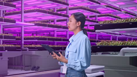 vista lateral de una trabajadora profesional asiática de pie en una granja vertical, instalación industrial de alta tecnología, observa mirando hacia arriba antes de llegar a concentrarse en la tableta y seguir comprobando