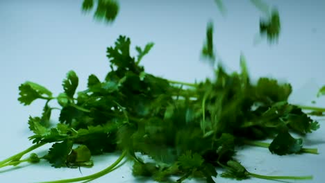 close-up of coriander falling on pile on white table