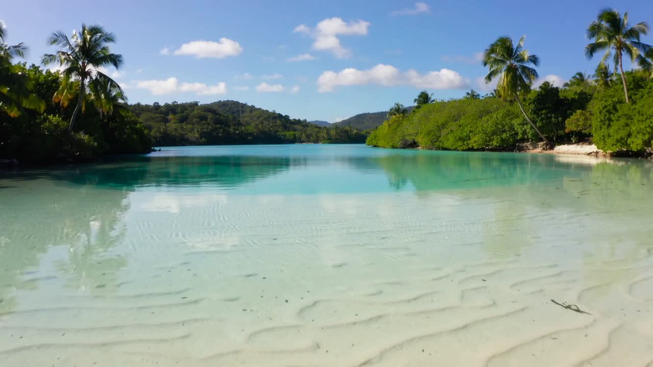 Montrant un lagon turquoise peu profond ondulant sous la brise sur la côte, révélant le sable, les palmiers et la mangrove.