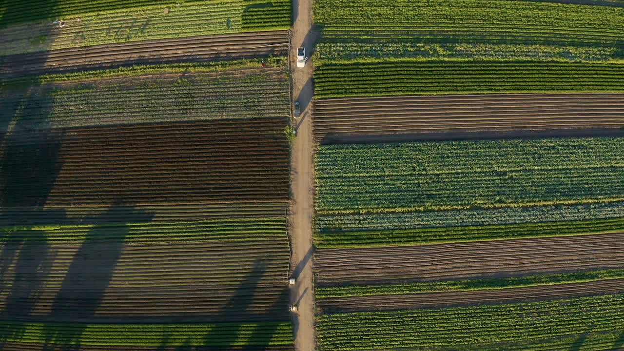 vista de pájaro volando sobre tierras de cultivo en el valle de salinas, ca