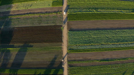 birds eye view flying over farmland in salinas valley, ca