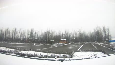 viaje ferroviario indio con nieve en el valle de cachemira, srinagar, badgam, benihal, estación de tren de anantnag