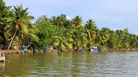 aldea remota al borde del remanso del mar con palmeras por la mañana desde un video de ángulo plano tomado en alappuzha o remanso de alleppey kerala india