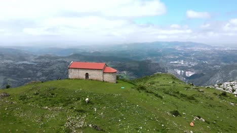 Paisaje-Aéreo-De-Drones,-Antigua-Capilla-Europea-Sola-En-Las-Verdes-Colinas-De-Monsacro,-Vacas-Pastando