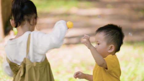 kids playing at the park