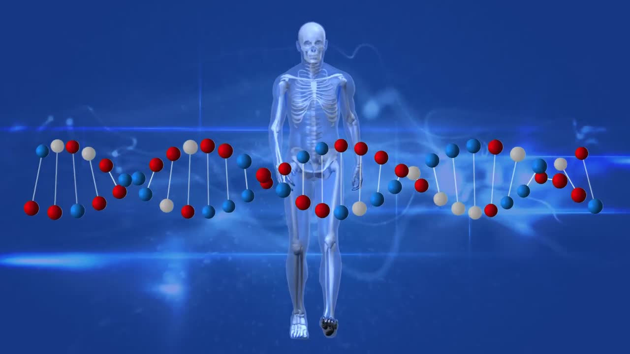 인간 해부학  ⁇ 기