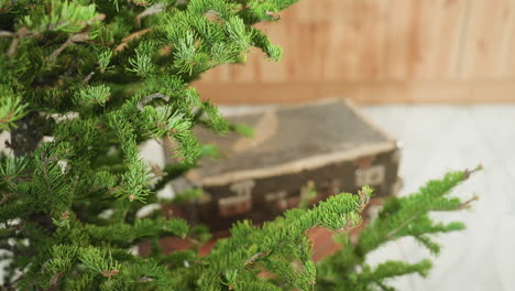 close-up view of tree branches with lush green leaves in focus, with vintage box in background, capturing festive atmosphere with rustic charm in cozy home setting