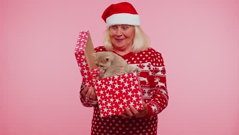 grandmother in christmas sweater smiling, unwrapping gift, opening box with pet cat, great surprise