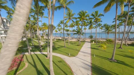 aerial flight over garden area with palm trees of luxury hotel resort in dominican republic