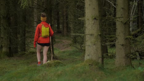 female-hiker-walking-on-a-trail-in-the-woods,-long-telephoto-shot