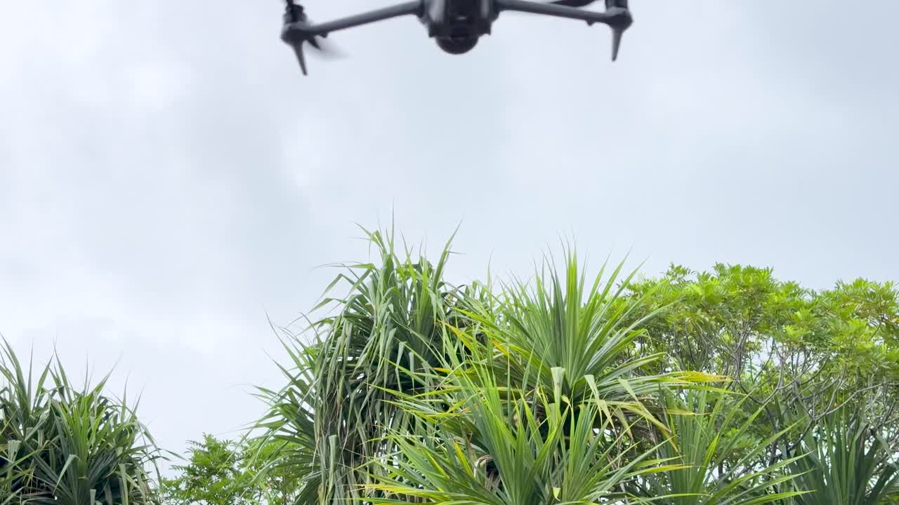 Un drone quadricottero grigio decolla dal cemento, salendo oltre gli alberi tropicali verso cieli nuvolosi