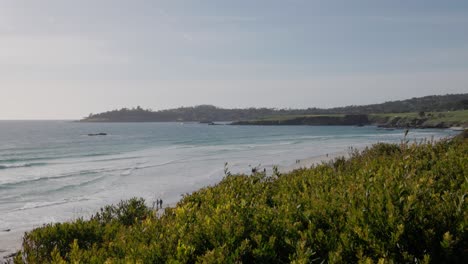 Playa-Y-Océano-En-Carmel-By-The-Sea,-California