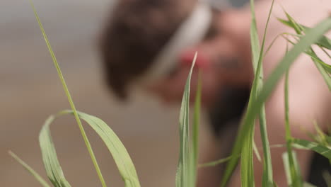 foreground shows tall green grasses in sharp focus, while background features blurred shirtless tourist with headband bending to wash face beside calm riverbank under daylight in natural environmen