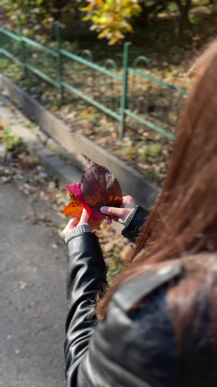 공원 에 있는 가을 잎