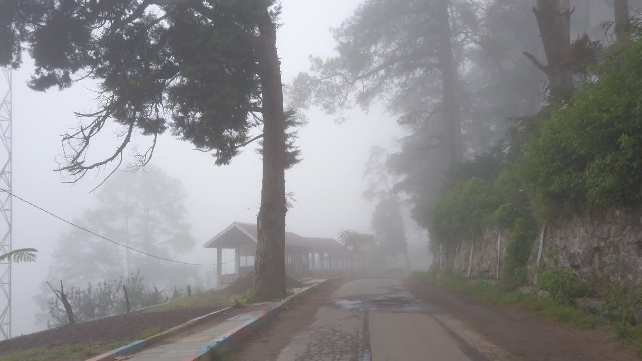 초록색과 자연의 숲과 나무가 있는 산꼭대기에 있는 안개가 많은 열대 시골 도로