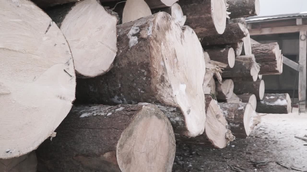 나무 어리 에 쌓인 나무를