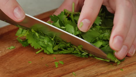chopping cilantro